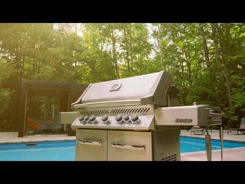 Napoleon Built-In Prestige 500 RB thumbnail 3
